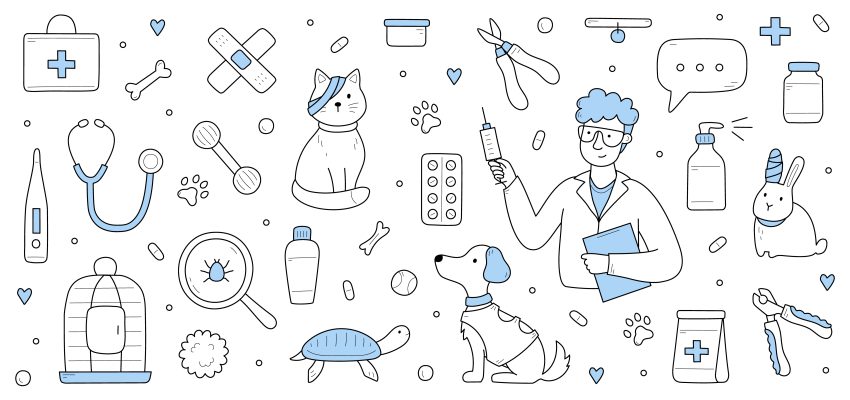 ilustracja przyrządy weterynaryjne