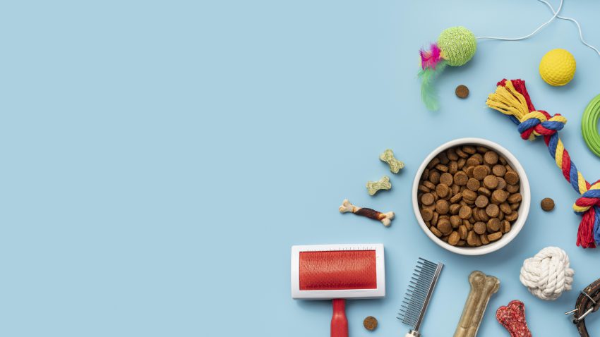 płasko ułożone przyrządy weterynaryjne - sklep weterynaryjny online