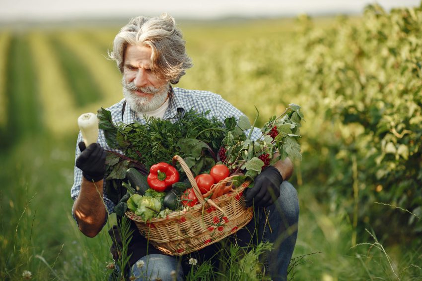 zdjęcie rolnika z koszykiem warzyw - catering wegetariański